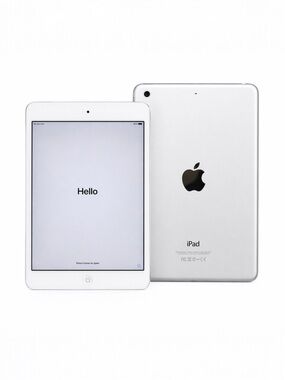 Apple iPad Mini 16GB Silver WiFi + Cellular 7.9” Factory Reset